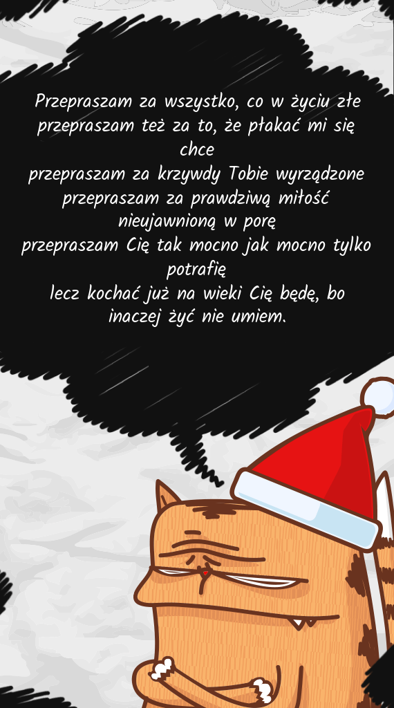 Kot w czapce mikołaja z długimi przeprosinami
